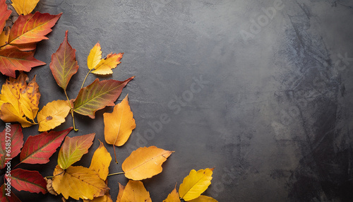 Autumn leaves background on a dark surface top view with copyspace