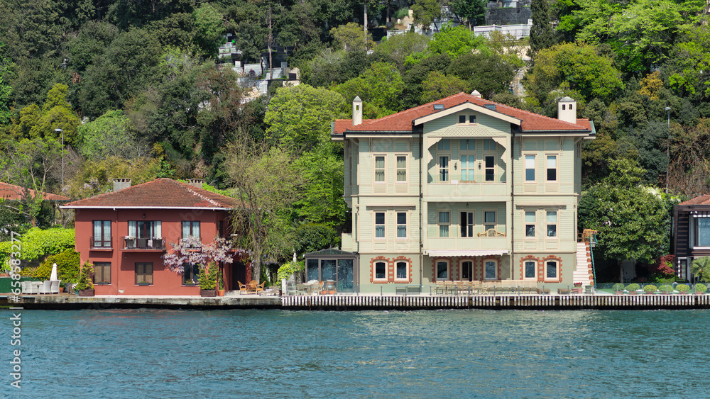 Traditional houses on a green hill by Bosphorus in Istanbul, Turkey, The trees in the foreground are lush and green