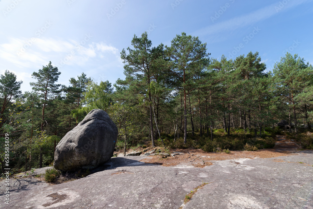 Fototapeta premium Druid Pear rockin the Franchard gorges. Fontainebleau forest