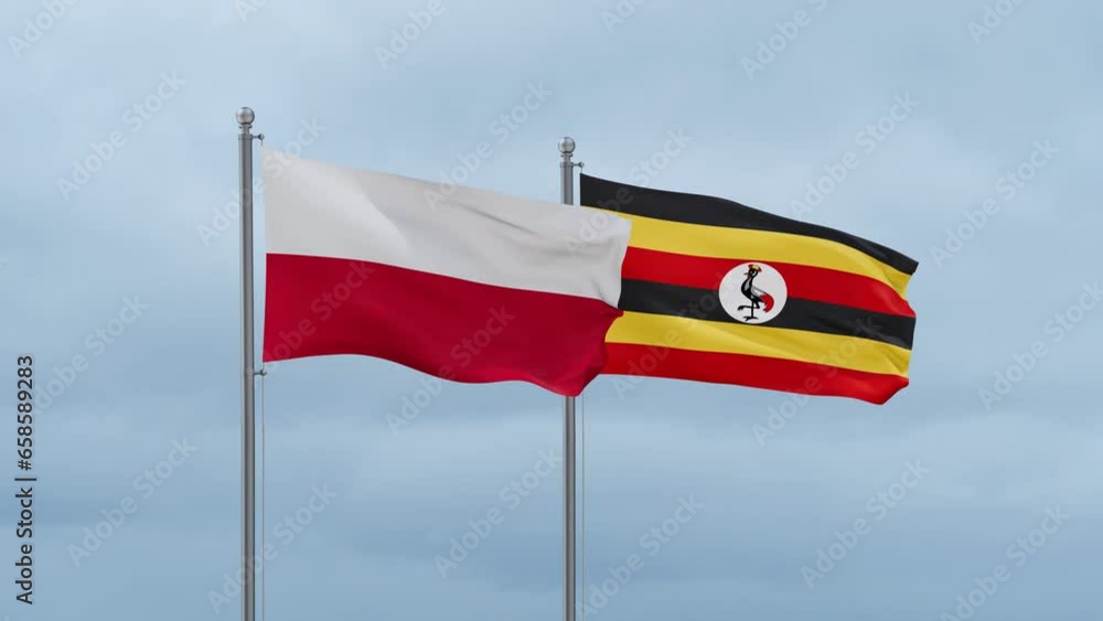 Republic of Uganda and Poland flag waving together on cloudy sky, endless seamless loop, two country cooperation concept Republic of Uganda and Poland flag waving together on cloudy sky, endless seamless loop, two country cooperation concept