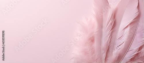 Vintage pink color trends with a delicate chicken feather texture in a isolated pastel background Copy space
