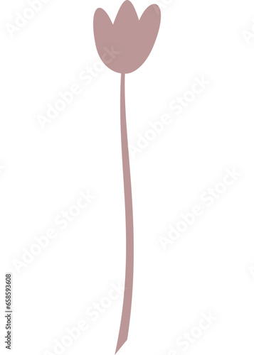 Tulpe, Blume, Pflanze mit transparentem Hintergrund 