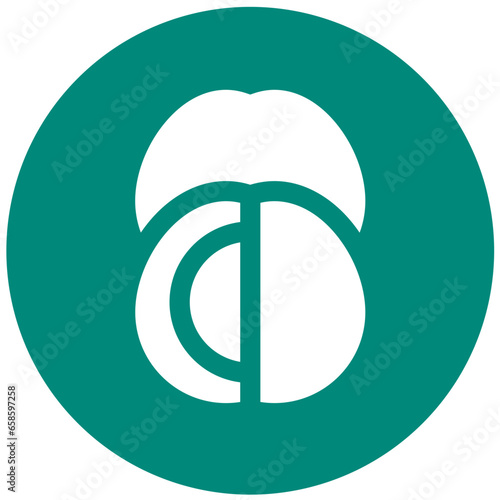 Jujube Vector Icon Design Illustration
