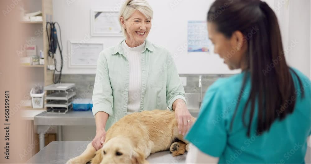 Woman, vet and dog on table for discussion, medical advice and pet care in health insurance. Mature person with female veterinarian, sick Labrador puppy and professional consultation at animal clinic Woman, vet and dog on table for discussion, medical advice and pet care in health insurance. Mature person with female veterinarian, sick Labrador puppy and professional consultation at animal clinic