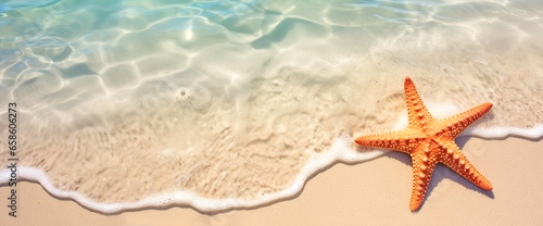 Starfish on a sandy beach in clear sea water. Banner