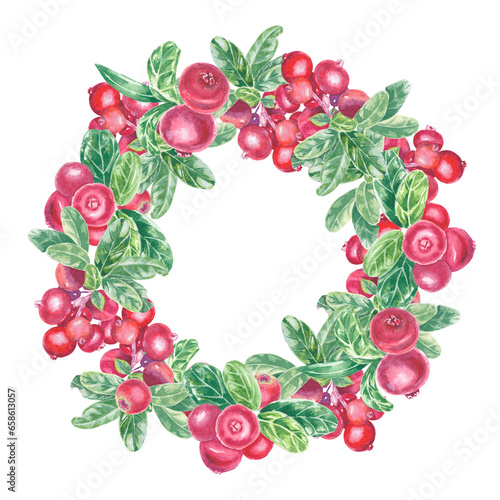 Wreath with hand painted red lingonberry, cowberry, cranberry and leaves. Watercolor botanical illustration isolated element. Art for food design menu, logo, composition, frame