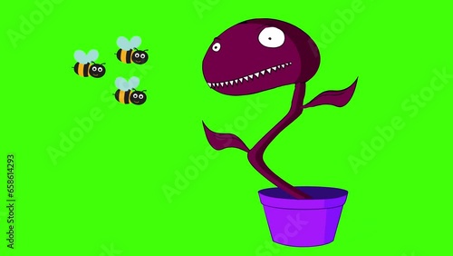 Monster Plant Starring At Honey Bees 2d Animation On Green Screen