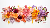 Composition of beautiful flowers on a white background