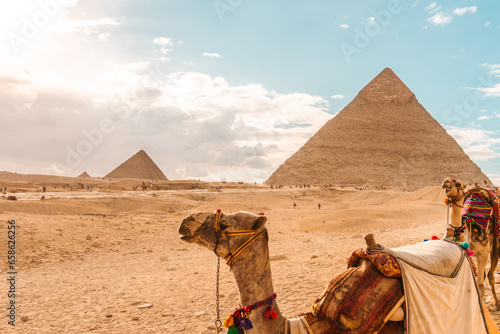 Tourist transport camel at the Pyramids of Giza in Egypt
Travel Eypt UNESCO World Heritage Site