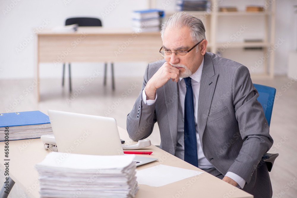 Old male employee working in the office Old male employee working in the office