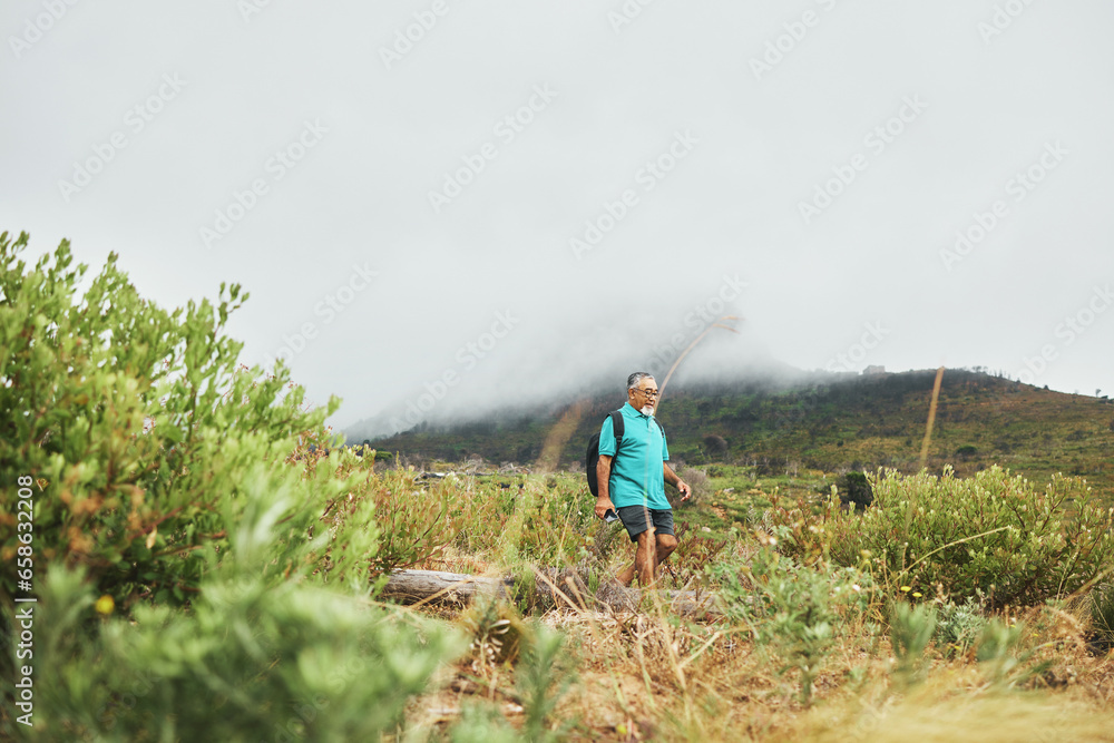 Old man, hiking with nature and exercise, travel and walking in field or bush for health and wellness outdoor. Adventure, trekking and fitness, mockup space and freedom with retirement activity