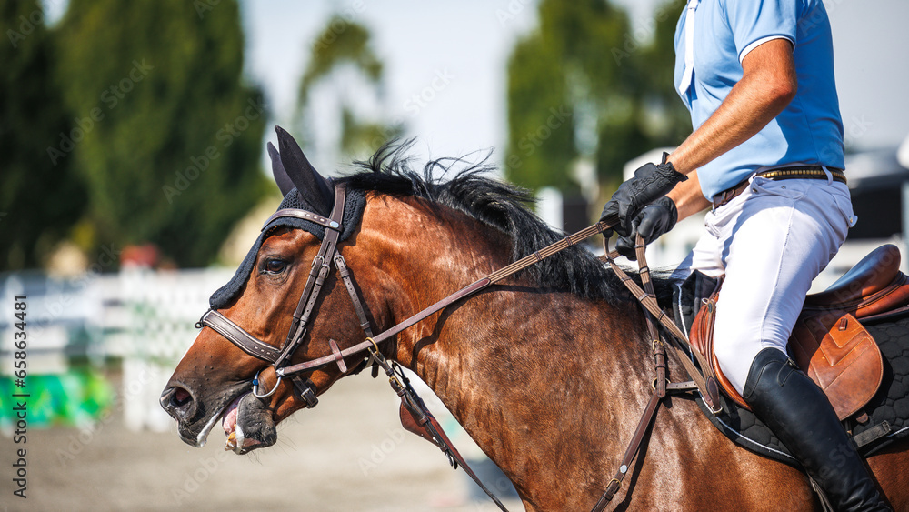 Horse equestrian show jumping with unrecognizable male jockey. Sport animal competition Horse equestrian show jumping with unrecognizable male jockey. Sport animal competition