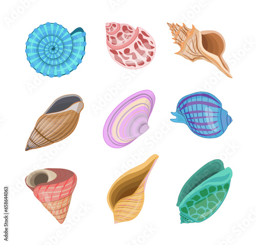 Collection of vector cartoon illustration of colorful seashells on white background.