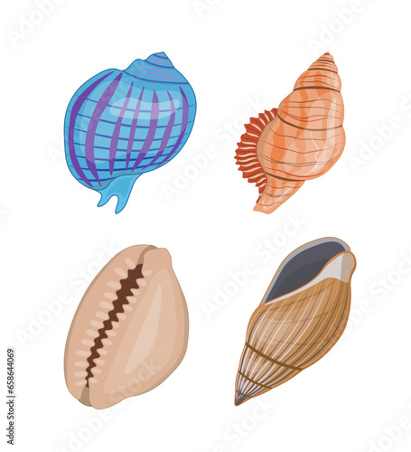 Collection of vector cartoon illustration of colorful seashells on white background. © Malika