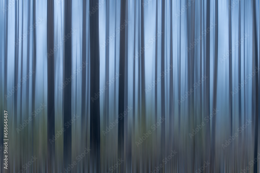 Abstract blurred background of tree trunks in a misty forest Abstract blurred background of tree trunks in a misty forest
