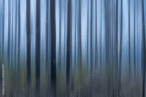 Abstract blurred background of tree trunks in a misty forest