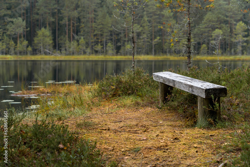 Wooden bench next to a forest pond in Finland. photo