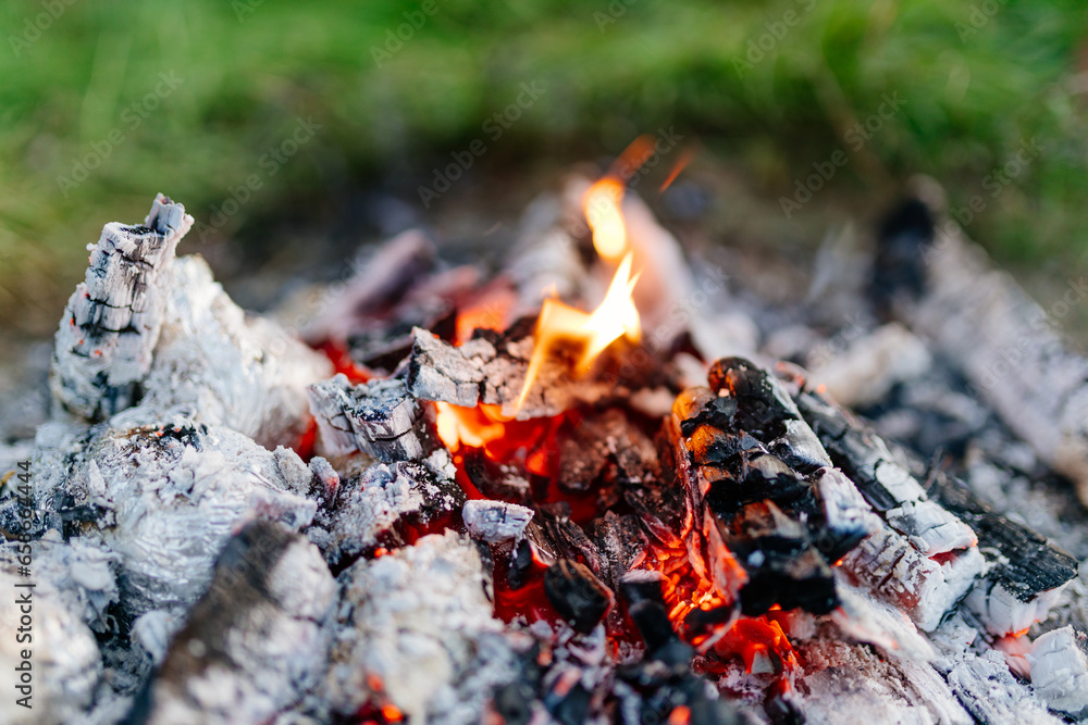 Bonfire close up. Burning firewood in nature against the background of grass. Ashes and coals, camping. Forest fires Bonfire close up. Burning firewood in nature against the background of grass. Ashes and coals, camping. Forest fires
