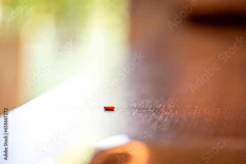 Single pill of 8mg Candesartan Cilexetil, Drug of the Sartan Family to reduce Blood Pressure