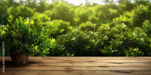 Natural greenery. Wooden background for gardening. Summer vibes. Fresh leaves on table. Rustic wood and green leaf. Perfect blend. Empty desk