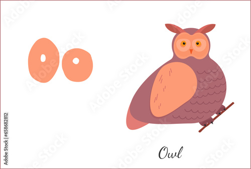 Bird Owl Letter O English Alphabet