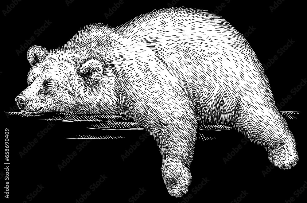 Vintage engrave isolated black bear set illustration ink sketch. American grizzly background asian animal silhouette art - obrazy, fototapety, plakaty 