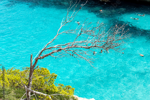 Calo des Moro is where you will think the Caribbean meets the Mediterranean. It is a beautiful virgin beach located between rocks and pine trees that offer a small oasis to rest from the summer heat.