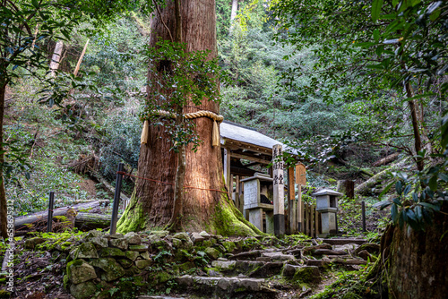 Canvastavla 鞍馬寺義経堂