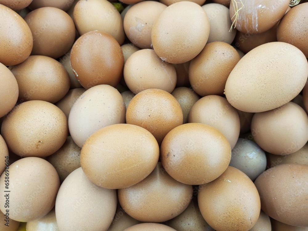 chicken eggs in one basket are sold at the market chicken eggs in one basket are sold at the market