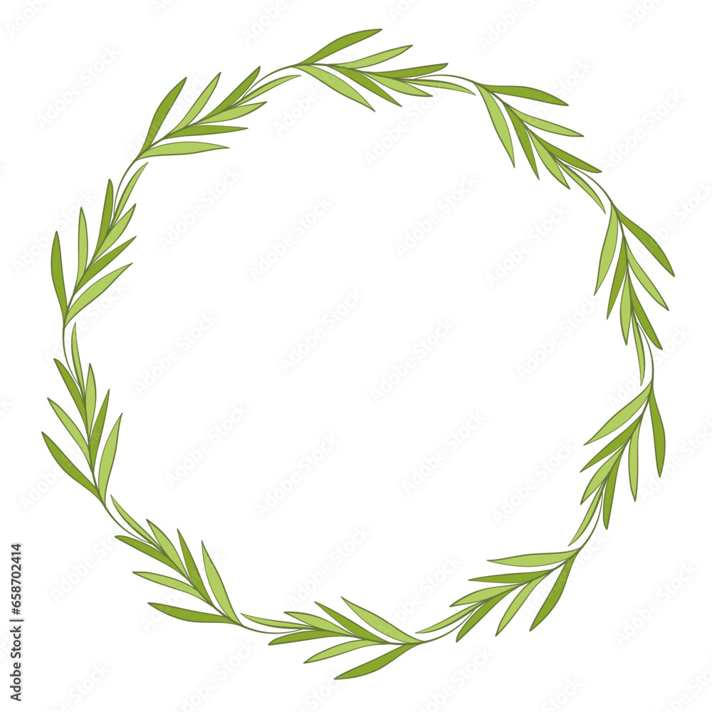 Fototapeta premium green leaf plant herb art drawn round frame