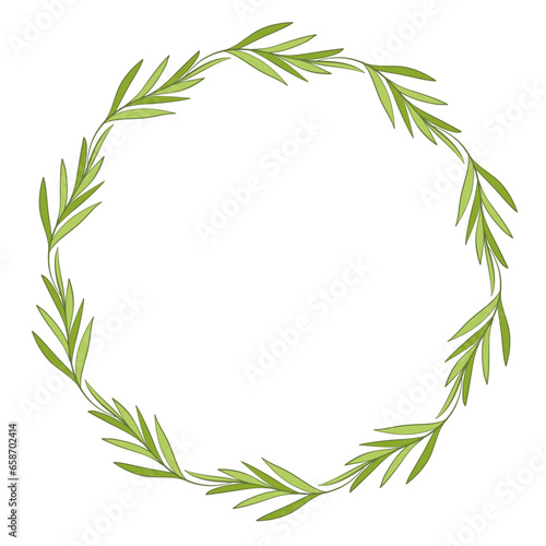 green leaf plant herb art drawn round frame