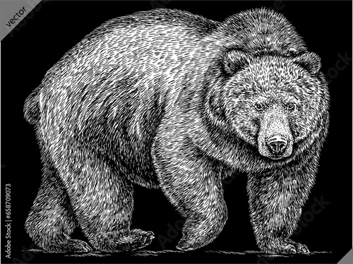  Vintage engrave isolated black bear set illustration ink sketch. American grizzly background asian animal silhouette vector art