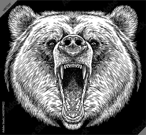  Vintage engrave isolated black bear set illustration ink sketch. American grizzly background asian animal silhouette vector art