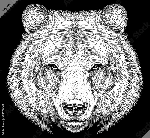  Vintage engrave isolated black bear set illustration ink sketch. American grizzly background asian animal silhouette vector art