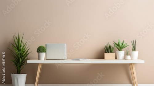 Featuring a white desk  a green plant  and plenty of natural light  this is a minimalist home office.