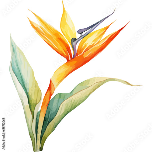 Flower Watercolor element on white background