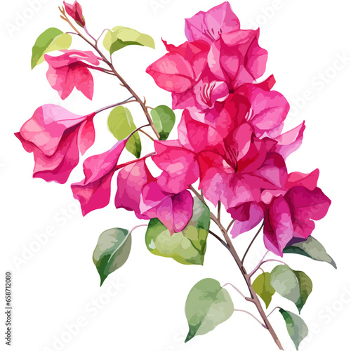 Flower Watercolor element on white background