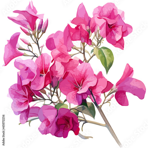Flower Watercolor element on white background