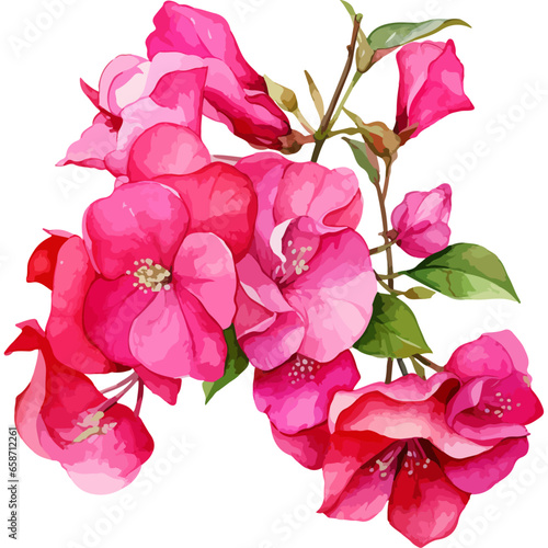 Flower Watercolor element on white background