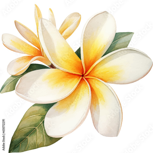 Flower Watercolor element on white background
