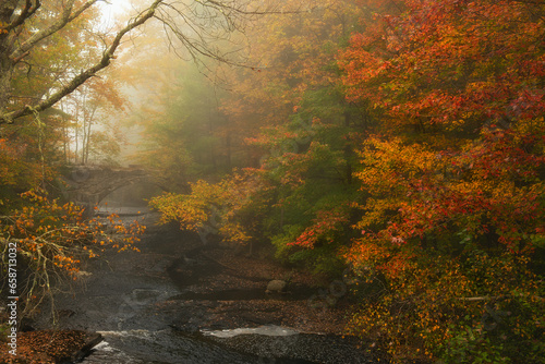 autumn foggy landscape. An ancient stone bridge over a river and yellow trees in the fog.