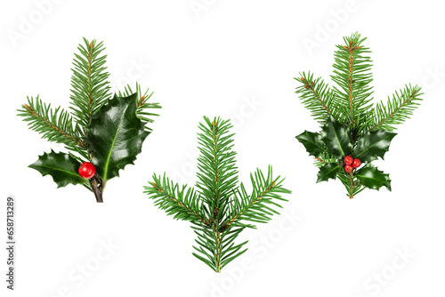 Print op canvas Collection of Fir tree and holly berries branch cut out on transparent background