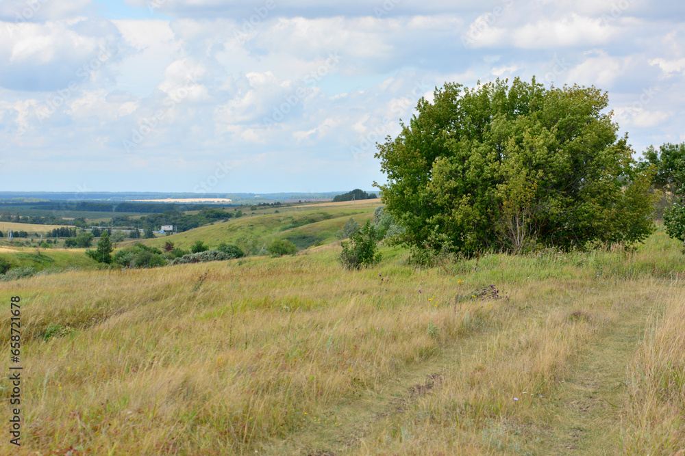empty hill with single apple tree and cloudy sky on background copy space empty hill with single apple tree and cloudy sky on background copy space