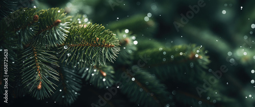 a close up shot of a christmas tree branch with droplets and snow, with copy space