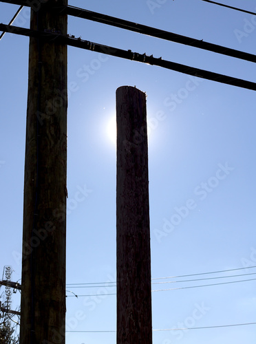 Sun halo behind telephone poles