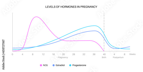 Hormones in pregnancy