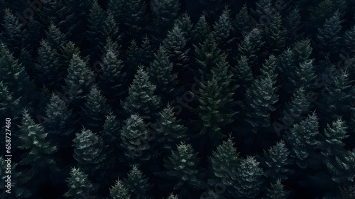 background of trees