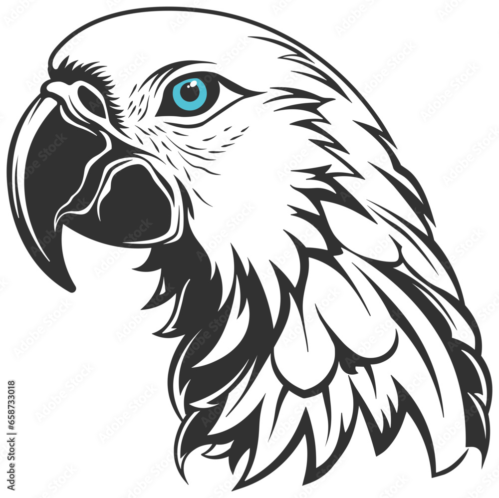 Fototapeta premium black silhouette of a parrot with blue eyes, without background