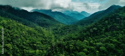 Lush Green Equatorial Forest Against Mountain Horizon Represents the Magnificence of Untouched Nature photo