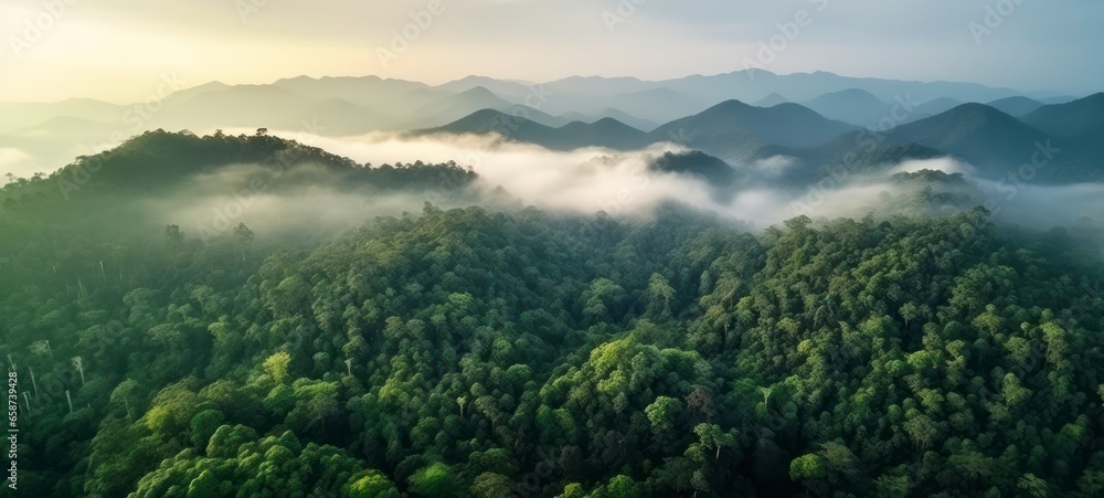Lush Green Equatorial Forest Against Mountain Horizon Represents the Magnificence of Untouched Nature